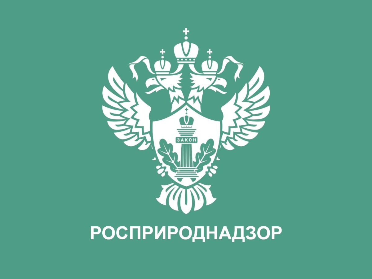Уважаемые выпускники 11 классов и их родители!.